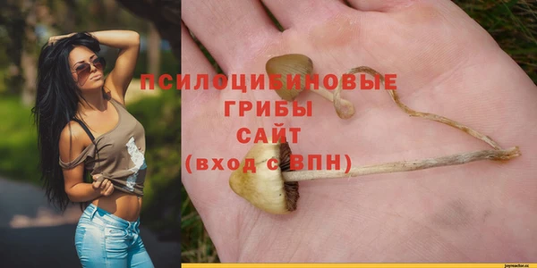 PSILOCYBIN Верея
