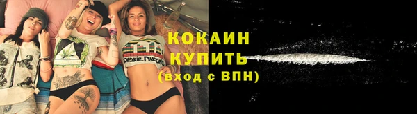 PSILOCYBIN Верея