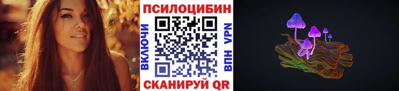Псилоцибиновые грибы Psilocybine cubensis Катав-Ивановск